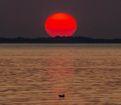 sun sunset sea water öresund hittarp skåne sweden denmark outdoor