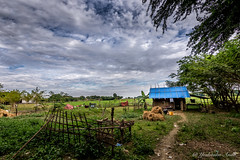 Sagaing Village