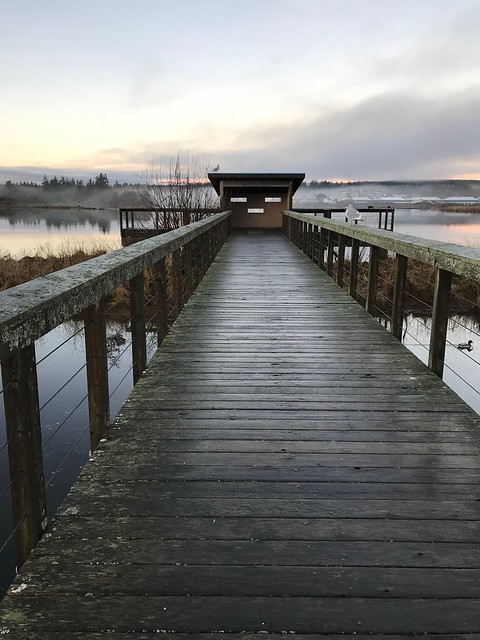 Buttle Lake - Campbell river walk