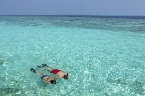 Snorkeling