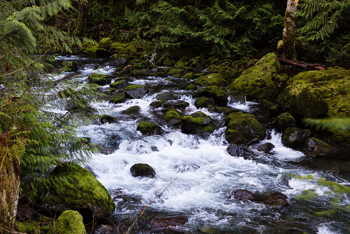 canon canon6d canonef24105mmf3556isstm canoneos6d clear day dosewallipsriver landscape olympicnationalforest olympicpeninsula pacificnorthwest river rockybrook usa unitedstates washington washingtonstate water winter brinnon