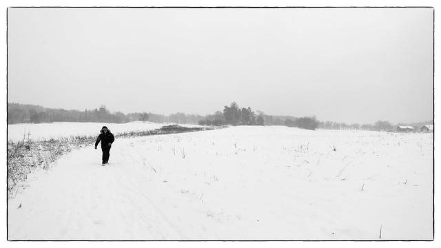 Walking / Winterland