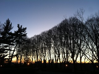 Beautiful sunset behind the trees on Ft Tryon Park (NY).