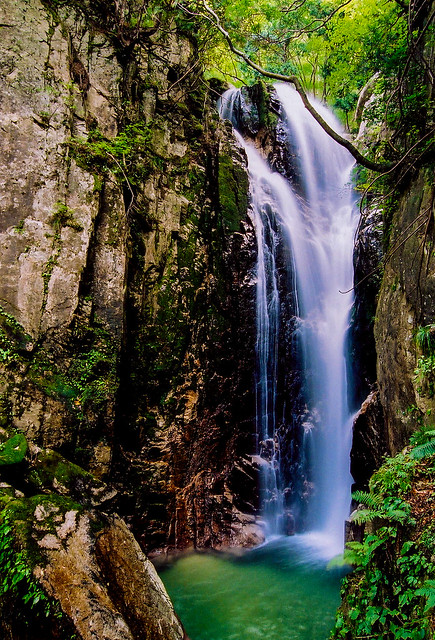 Waterfall in Shiga Prefecture, Japan  滋賀県の滝