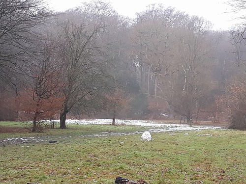 last of the December 2017 snow - Epping Forest 
