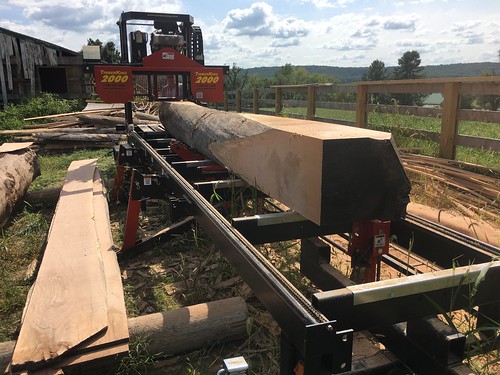 Photo of sawmill in operation