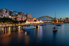 Image: Lavender Bay on a Summer Night