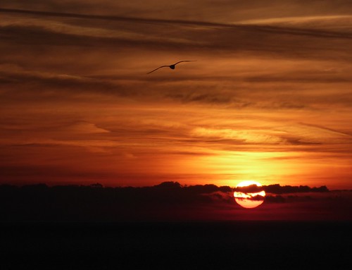 balcorama dawn alba sky cielo clouds nuvole sun sunrise wishes auguri voeux 90 gabbiano seagull orange fotomie2009 nora caracci