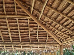 Inside Pandanus roof