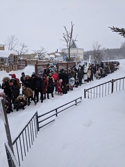 People Waiting for Penguin Parade