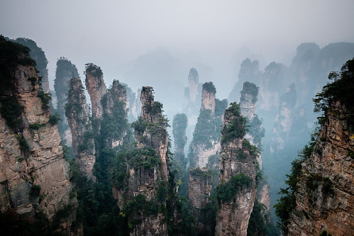 china cloud forest landscape mist mountain zhangjiajiechinazhangjiajieshihunanshengcn