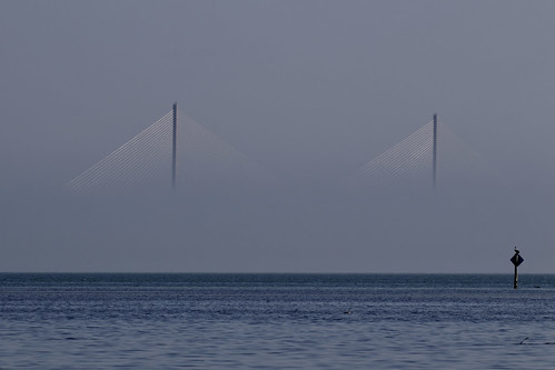 outdoor seaside shore sea sky water nature wildlife 7dm2 ocean canon florida sunshine skyway bridge golden gate fog