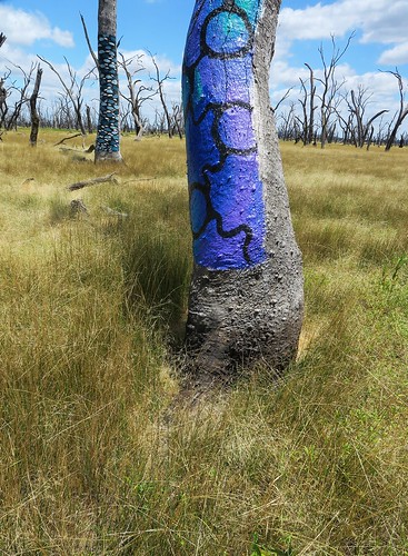 victoria australia australianplants birdlife history landscape publicart trees walking water wetlands