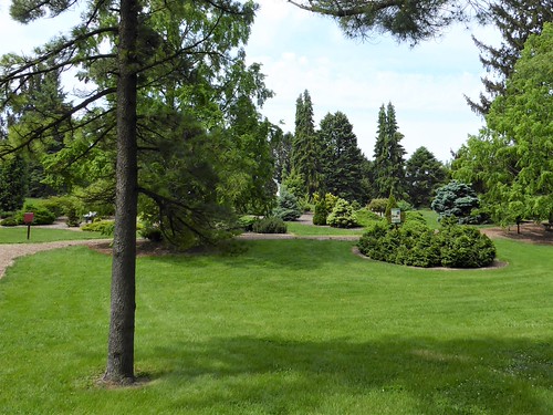 Lisle, IL, Morton Arboretum, Garden Landscape by Mary Warren 22.1 Million Views, lisleil mortonarboretum nature flora plants green landscape park garden trees leaves foliage