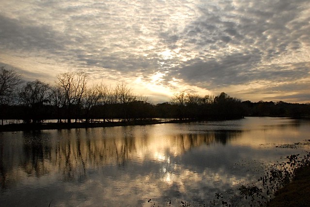 Sunset at 40-Acre Lake at Brazos Bend State Park.