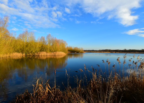 Reflective waters by gillybooze ( David ), good to go©allrightsreserved vista water lake sky clouds trees outdoor plant weather refe reflection