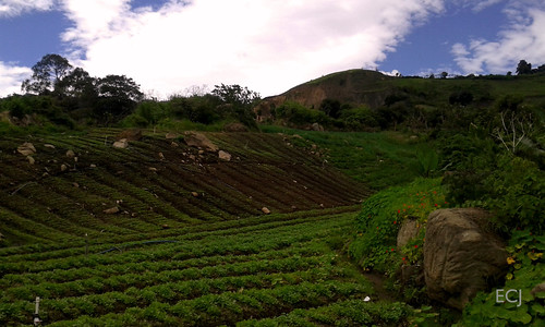 nubes naturaleza rural campo colina caminata agricultura vegetación flores piedra pendiente