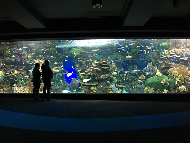 Ripley’s Aquarium of Canada, Toronto