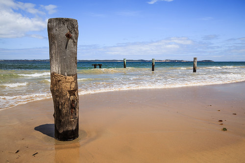 australia victoria queenscliff beach coast