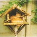 cat in a birdhouse