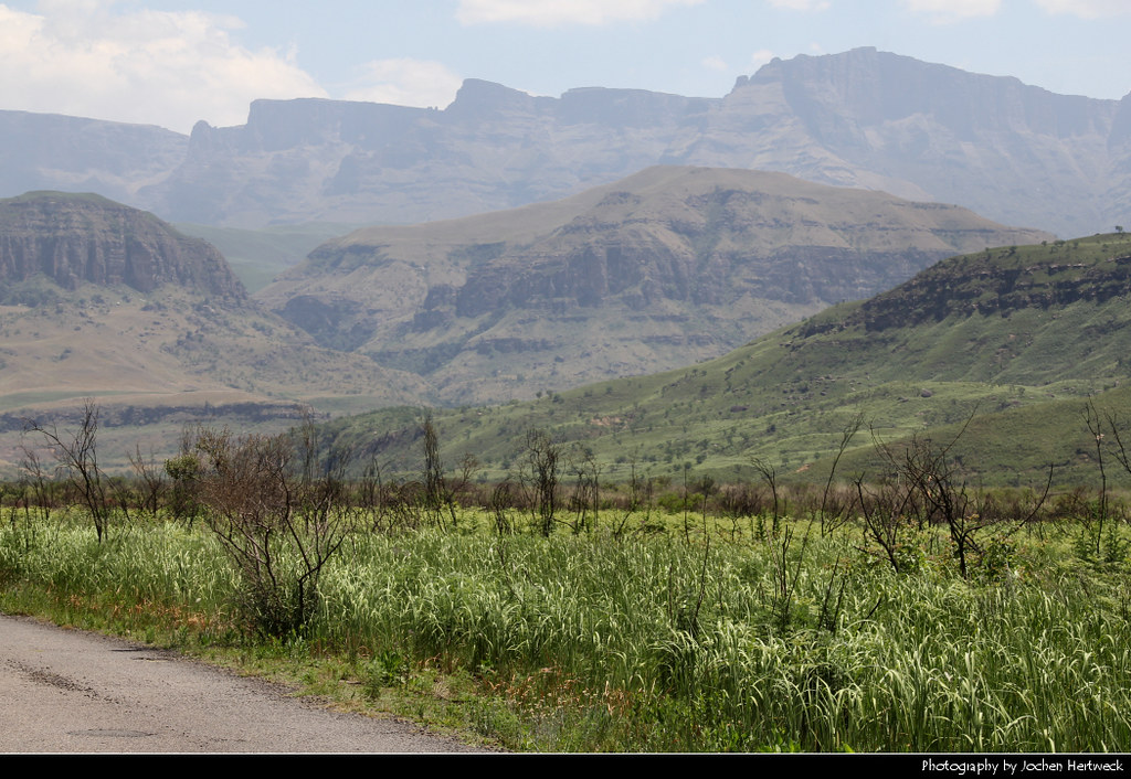 Injisuthi Valley, Drakensberg, South Africa