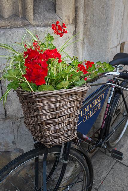 Cycle Flower Basket