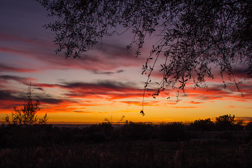 _MG_4249 by Sebastian_Schwakenberg, 