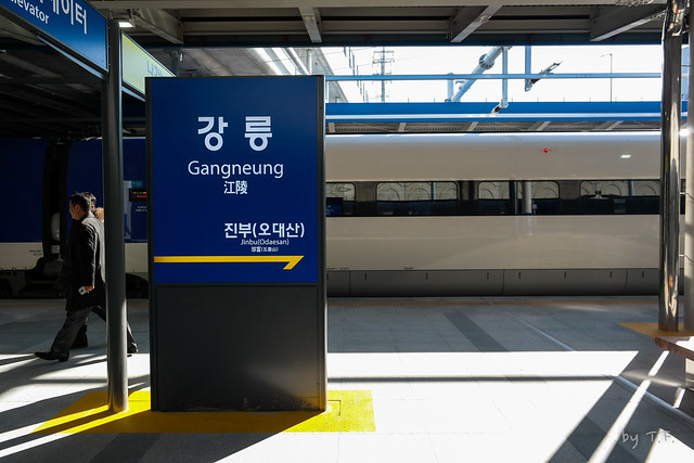 강릉역 승강장 (Gangneung train station's platform)