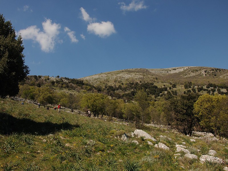20170410-143F | Landschaft am Monte Calvo bei San Giovanni Rotondo, Monte Gargano. Apulien, 10.04.2017