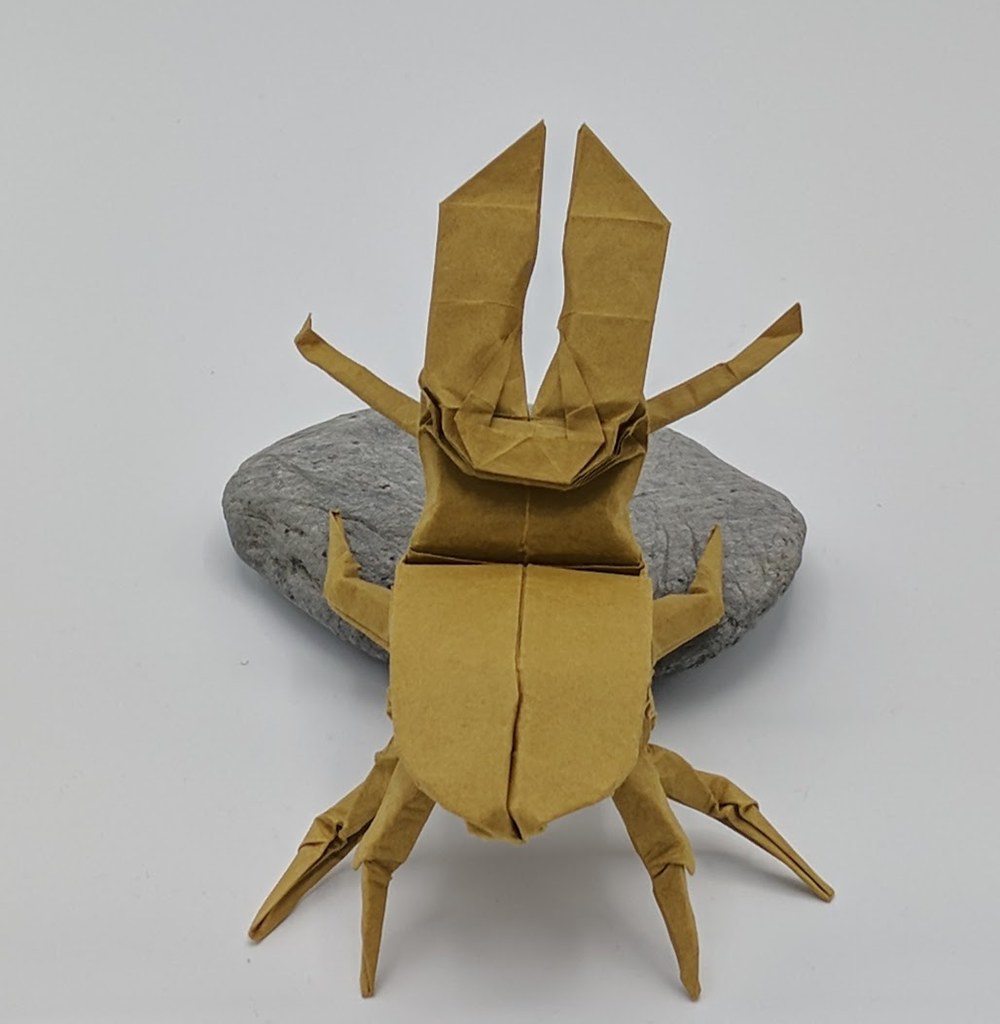Stag Beetle back | designed and folded by me 35 cm square bi… | Flickr