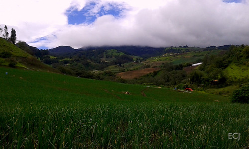 cultivos agricultura colina nubes naturaleza vegetación caminata rural volcán paisaje