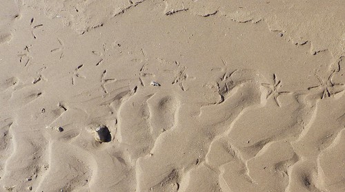 sand wallpaper dalmatia croatia privlaka nature ground