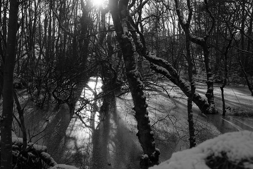 kintore aberdeenshire scotland snow ice winter nature frozen bw mono monochrome trees