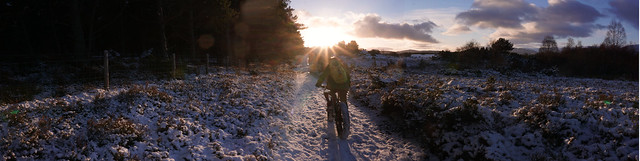 Riding into the winter sun, Insh, Strathspey