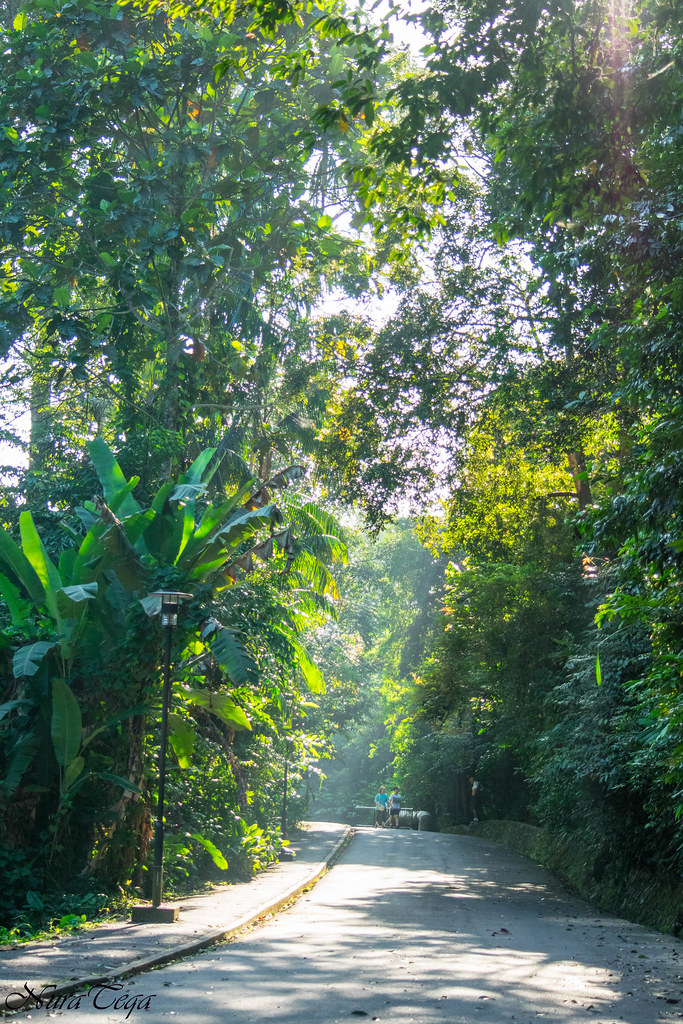 Penang Botanical Garden Nura Teqa Flickr