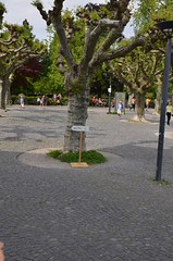 Grand Marmitage 2016