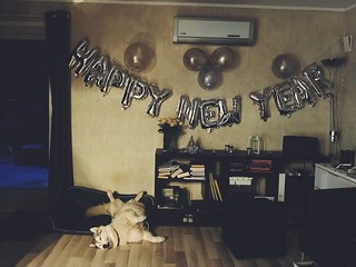 55+ Samoyed Happy New Year
