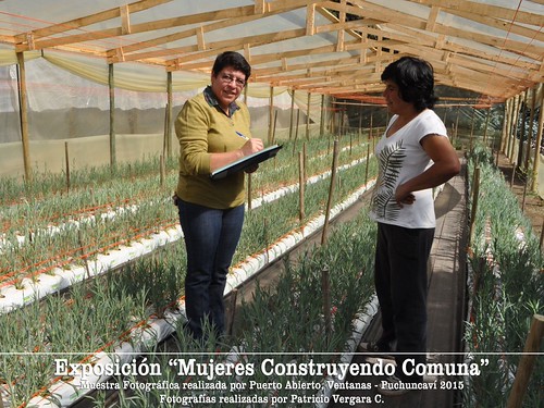 mujeres construyendo comuna | by patriciofotografo