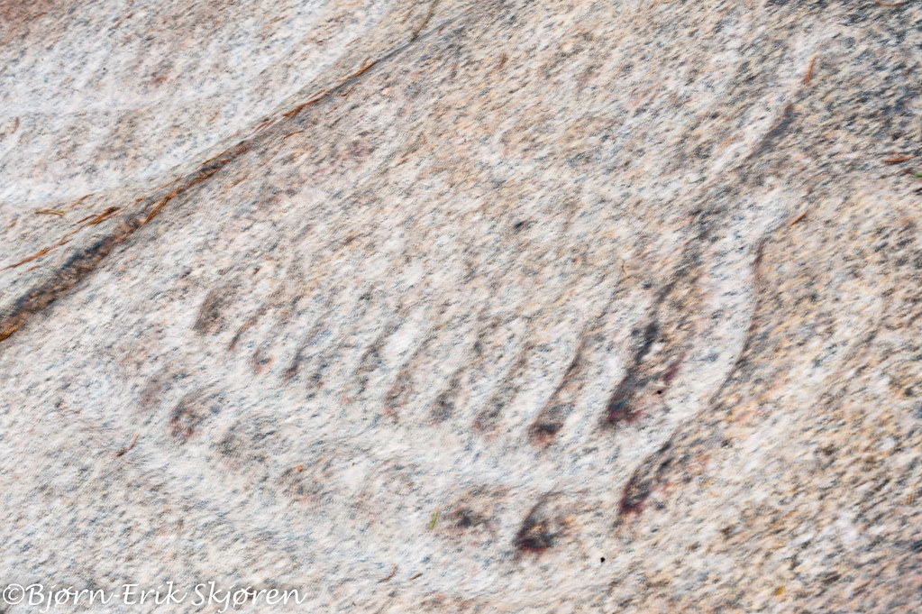 Petroglyphs III (rock engravings) - Norway/ Bergkunst III (helleristning)