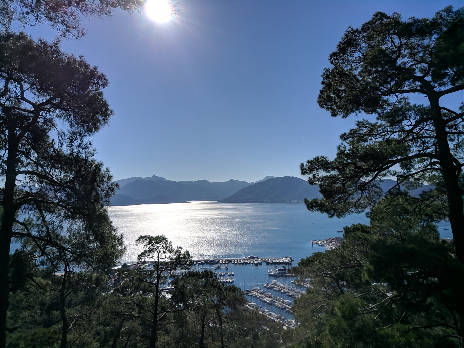 marmaris marina from forest