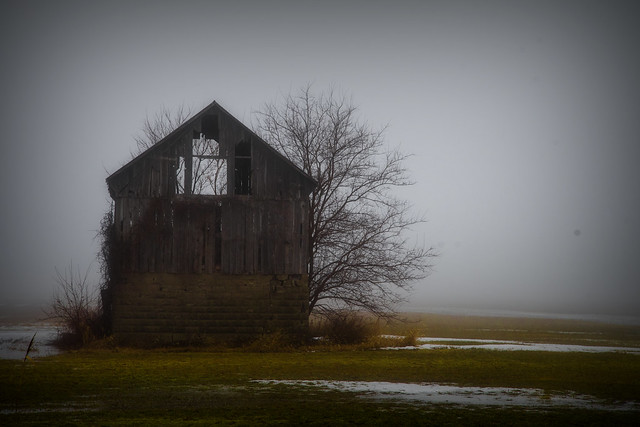 Barn In The Mist 2. Essex, ON.