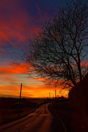 chicane sunset clouds colour light craigtonofairlie angus dusk evening road a926 silhouette tree whitelines eos1dxmk2 ef2470f28llusm