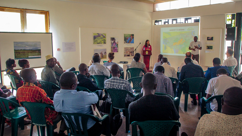 Workshop in Dar es Salaam. 29 November 2017.