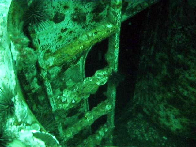 USS Oriskany Dive, July 2008 (3)