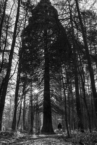 DSC_3835 | by Michaël Overberg