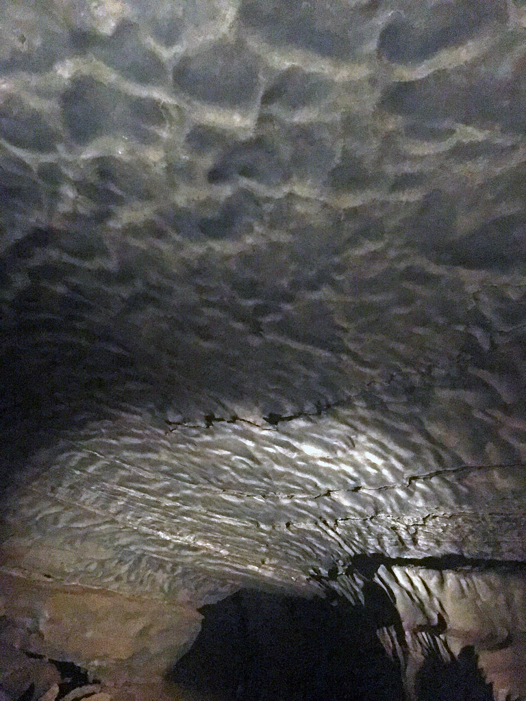 Scallops (River Hall, Mammoth Cave, Kentucky, USA) 3