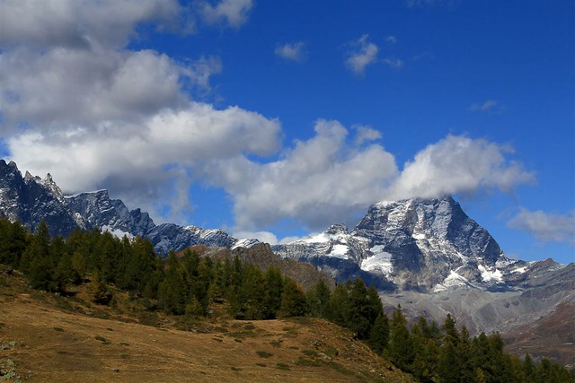 Val d'Aosta - Valtournenche: Torgnon Gillarey, il Cervino da Gilliarey