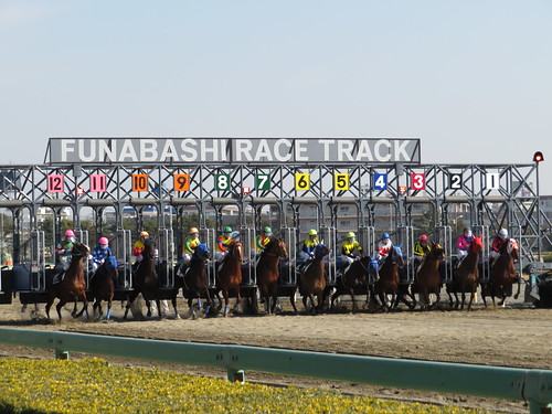 船橋競馬場のスタートを最前で観戦する