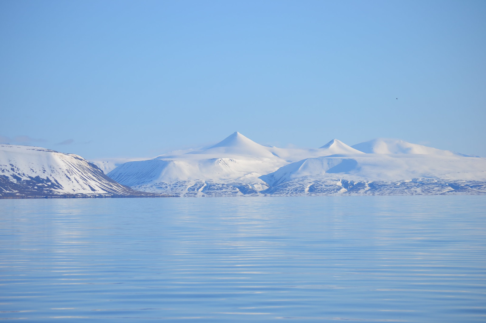 Svalbard. Summer ices.