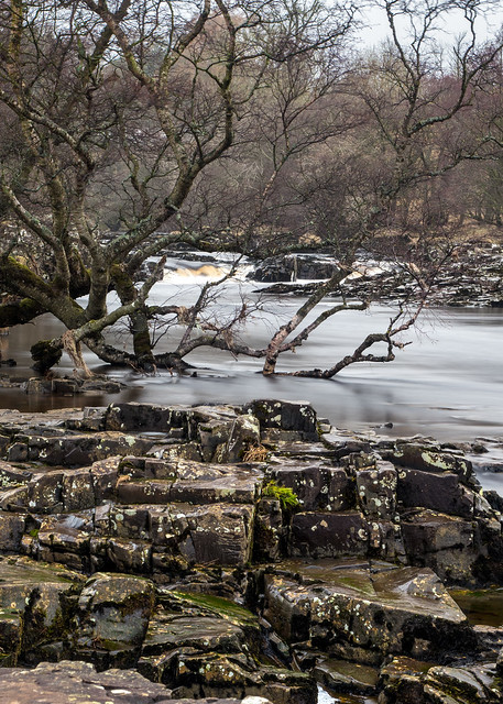 Low Force - Tees Valley